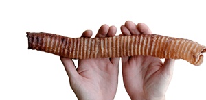 Alimento Seco Orgánico para Perros, Sin Azúcar, Alto en Proteínas, Sabor a Carne, Enriquecido con Vitaminas, Bocaditos Crujientes de Traquea, Nutritivo para la Salud de la Piel y el Pelaje - Product Image 2