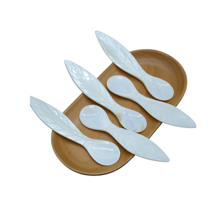 Superior Handmade Mother of Pearl Spoon Fish Flower Long Handle <b>Mirror</b> Polish Custom Logo Engraved Tableware Storage - Product Image 1
