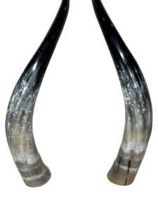 Par de Cuernos Largos de Vaca Auténtica, Decoración Rústica de Estilo Occidental para el Hogar, Cuernos de Búfalo Naturales Pulidos con Tacto Real y Forma Natural - Product Image 5