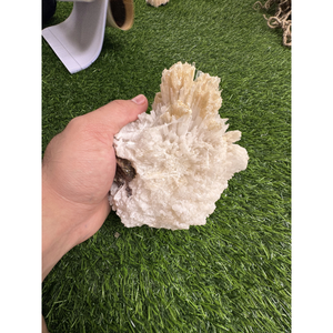 Natural White Yellow Scolecite <b>Crystal</b> <b>Cluster</b> Mineral for Collection Decor and Bulk Purchase - Product Image 4