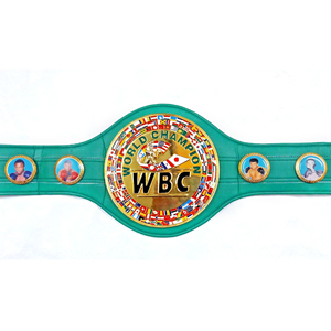 2026 Hot Selling Custom <b>Wrestling</b> Heavyweight Championship Brass Zinc Metal <b>Belt</b> for Karate Taekwondo Judo - Product Image 1