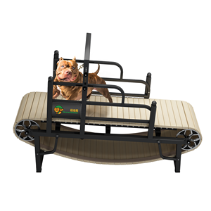 Custom Noiseless Pet <strong>Dog</strong> <strong>Treadmill</strong> for Small , Medium or Large <strong>Dogs</strong> Slat <strong>Mill</strong> for <strong>Dogs</strong> - Product Image 3