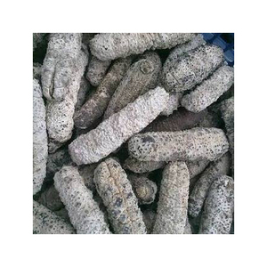 Concombre de mer séché de haute qualité, poisson blanc, prix abordable, Stichopus japonicus du Vietnam - Product Image 1