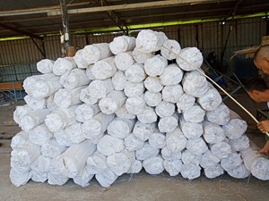 TEMOS UNA OPORTUNIDAD gran venta natural Núcleo de ratán sin blanquear-Núcleo de ratán Material de ratán crudo de Vietnam para exportación - Product Image 5