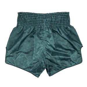 Pantalones Cortos de Bjj Personalizados, Nuevo Diseño, Pantalones Cortos de Boxeo Fairtex, Pantalones Cortos de Muay Thai de Alta Calidad, Ropa de Artes Marciales para Hombre, Pantalones Cortos de Entrenamiento Sin Gi - Product Image 2