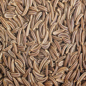 Semillas de Jeera Indias de Nueva Temporada con Sabor Auténtico y Fragancia Natural para Compradores Mayoristas y Empresas Alimentarias Globales - Product Image 5