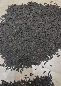 Laxante Natural de Terminalia Chebula Negra - Product Image 2