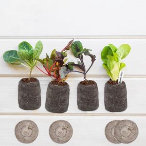 35mm &42mm Peat Pellet Seed Starter Soil for Growing Herbs, Plant, Flowers, <b>Vegetables</b> From Eco2go Vietnam - Product Image 2