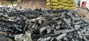 High Quality Indonesian Charcoal Halaban Lump Hardwood for BBQ | Long <b>Burning</b> Low Ash 7000-8000 Kcal/kg CARSURIN Lab-Test - Product Image 3