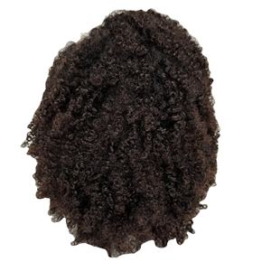 Meilleures ventes 100% Extensions de cheveux Remy vietnamiens Dernières tendances Curly Silky Waves Loose Deep Clip-Ins Burmese Curly Style - Product Image 1