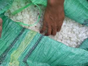 เครื่องชั่งปลากะพงแห้ง99โกลด์เครื่องชั่งคุณภาพสูงจากเวียดนามสำหรับใช้ในอุตสาหกรรมและความงาม - Product Image 5