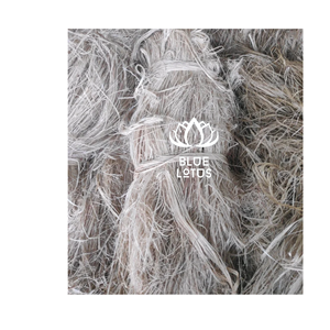 FIBRE DE BANANE SÛRE, PROPRE ET ÉCOLOGIQUE, MATIÈRE PREMIÈRE VÉGÉTALE PURE 2026, IDÉALE POUR LA TISSAGE TEXTILE ET LA FABRICATION DE CORDES - PRIX DIRECT USINE - Product Image 1