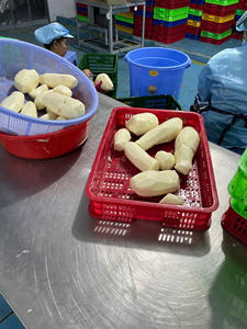 Trozos de Taro Congelados Gourmet, Textura Natural, Ingrediente Vegetal para Supermercados Internacionales y Socios Minoristas, Suministro Disponible Ahora - Product Image 2