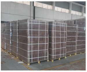 Exportateur de tourbe de coco de qualité supérieure ou de blocs de coco Pith 5kg pour les producteurs hydroponiques - Product Image 4