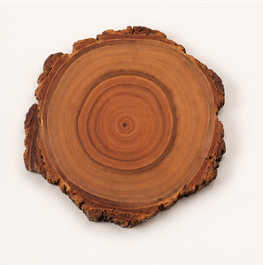 Wholesale Custom Logo Natural <b>Tree</b> Bark Wooden Coaster Set Rustic Eco-Friendly Round Wood Slices For Coffee <b>Mug</b> & Tea Cup Mats - Product Image 5