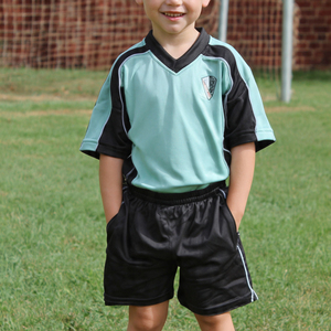 100% Polyester Jersey Footy Shorts Set Boys Footy Training Wear Footy Rugby Uniform Stripe <b>Line</b> Rugby Footy Uniforms - Product Image 6