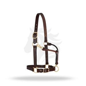 Luxury Leather Horse Halter Premium Brass Hardware Adjustable Equestrian Headcollar - Product Image 1