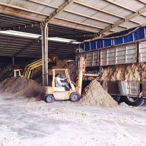 ใยชานอ้อยวัตถุดิบแห้งสำหรับอาหารสัตว์36เดือนอายุการเก็บรักษา VN - Product Image 4