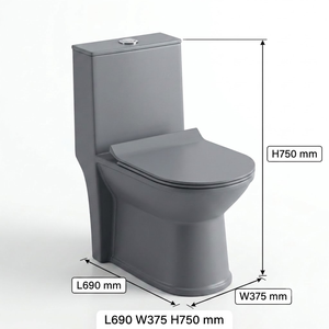 Inodoro Moderno de Una Pieza con Acabado Mate en Gris Cemento, Alargado, de Cerámica, Montado en el Suelo, con Sifón S/P - Product Image 5