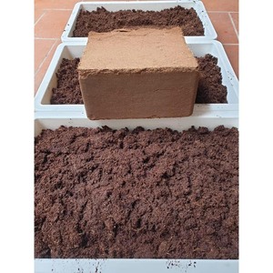 Substrat de coco naturel du Vietnam pour pépinières, semis, enracinement, propagation et horticulture - Product Image 5