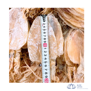 Produit le plus vendu : Snack de fruits de mer séchés de qualité supérieure Blue Lotus (calamar et calamari) pour la cuisson et la grillade, emballage sous vide, approvisionnement en gros du Vietnam - Product Image 5