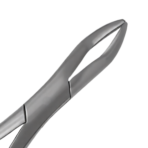 Pinzas de Extracción de Dientes de Lobo Equinos, 11 Pulgadas, Mango con Gancho, Instrumento Quirúrgico Veterinario para Extracción de Dientes de Caballo - Product Image 4