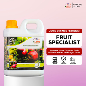 Engrais liquide pour bananiers GDM 100% biologique, accélère la croissance et améliore la qualité des récoltes - Product Image 1