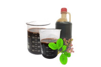 Huile de Cardanol Raffinée Liquide d'Exportation, Extrait de Coque de Noix de Cajou pour Applications Chimiques