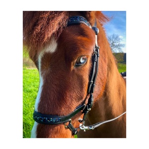 Licou de cheval en cuir anglais classique de haute qualité avec cuir indien noir au design intemporel et boucle en laiton - Product Image 5