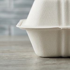 9 X 9 Inch Bagasse Clamshell Biodegradable Compostable Disposable Food <b>Container</b> Sugarcane <b>Takeaway</b> Box for Restaurants Hotels - Product Image 6