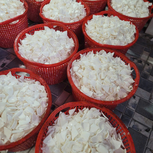 Coco Fresco Congelado IQF / Copra Natural para la Industria Alimentaria, Extracción de Aceite, Procesamiento a Granel, Suministro de Vietnam - Product Image 3