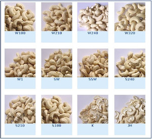 Factory Wholesale Vietnam Cashew <b>Nut</b> W240 High-Grade Dried Natural Raw Frozen Non-GMO Purple-Skinned Fresh Organic Snack - Product Image 1