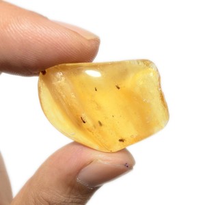 Ambre brut de la Baltique 23 carats, pierre précieuse naturelle, insectes fourmis, pierre en vrac pour la fabrication de bijoux, taille 34x23x10 mm - Product Image 1