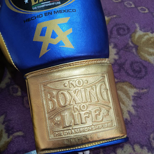 ถุงมือ MMA หนังแท้ Custom No Boxing No Life สำหรับฝึกซ้อมและต่อสู้ กันลื่น ระบายอากาศ ป้องกันรังสียูวี แบบเต็มนิ้ว ผูกเชือก - Product Image 2