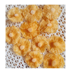 Fournisseur d'ananas séché tropical du Vietnam, produits de fruits séchés en vrac pour importateurs et marques privées - Product Image 6