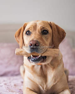 Coffee Wood Pet Toys Manufacturer Exporter Wholesale OEM Eco Friendly Durable - Product Image 1