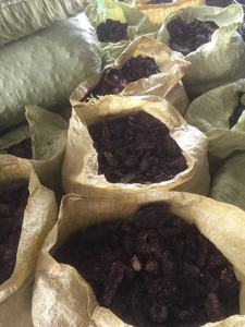 Tranches de Noni séchées transformées pour la préparation de thé et les applications alimentaires, avec une qualité stable et un approvisionnement à l'exportation - Product Image 4