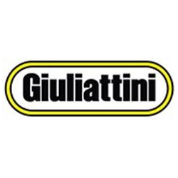 GIULIATTINI SRL logo