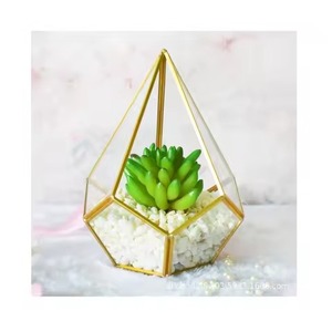 Decorative <b>Frame</b> Metal Terrarium Glass Planter Modern Indoor <b>Plant</b> Holder Geometric Home Accent - Product Image 4
