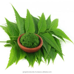 ผงสะเดาบริสุทธิ์และเป็นธรรมชาติจากอินเดีย - Product Image 6