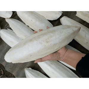 Os de seiche, matériau naturel de coquille sépia pour accessoires d'oiseaux et décorations d'aquarium, fabricant vietnamien - Product Image 3