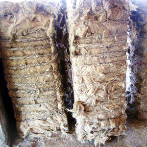 100% Cao Cấp Nguyên Liệu Đay Thế Giới Rộng Xuất Khẩu Chất Lượng Bán Buôn Giá Đay Cắt Trong Kích Cỡ Khác Nhau Nguyên Đay Caddies Từ Bangladesh - Product Image 3