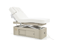 Table de massage électrique professionnelle moderne à 3 moteurs, hauteur réglable, avec éponge haute densité, pour salon de beauté, hôtel, chambre à coucher