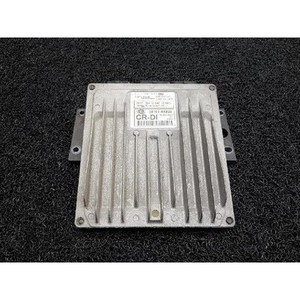 Carnival a utilisé des ECU et des modules informatiques 391014X820 - Product Image 1