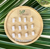 Industriële Ruwe Nata De Coco Materiaal Hoge Zuiverheid Kokosgel DK BIO Kosher Halal ISO 22000 Gecertificeerd Wit Sap Merk Jelly