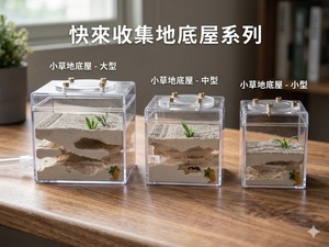 Habitat para Hormigas Empire Ants Aangran, Ecológico, Duradero, Acrílico, Lindo, Mini, Rectangular, con Cierre de Botón, Fácil de Limpiar, Transparente - Product Image 6