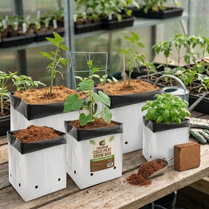 Buffered Cocopeat Grow Bag Premium Coir Slab for Hydroponic Greenhouse <b>Vegetable</b> Cultivation Exporter - Product Image 6