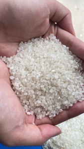 Arroz japonés de grano corto para sushi, calidad UE, venta al por mayor, Arroz Basmati Japonica para sushi, Ris Ryze LINDA - Product Image 3