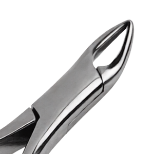 Instruments chirurgicaux dentaires manuels en acier inoxydable, forceps d'extraction des premiers molaires supérieurs et inférieurs, dentiste - Product Image 3