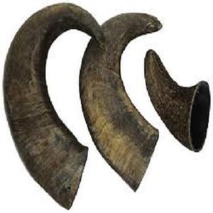 Cuerno de Búfalo y Cuerno de Buey Natural de la Mejor Calidad, Ecológico, Hecho a Mano, Tamaño Personalizado, Moderno, a Bajo Precio - Product Image 2